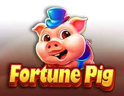5k bet 5k bet